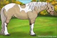Horse Color:Silver Bay Dun Tobiano Snowflake Varnish 