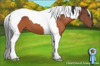 Horse Color:Brown Tobiano 