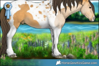 Horse Color:Buckskin Tobiano 