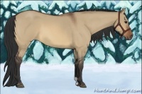 Horse Color:Bay Roan Dun