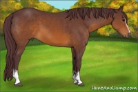 Horse Color:White Spotted Chocolate Brown 