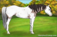 Horse Color:Bay Ice Roan Splash Near Fewspot 