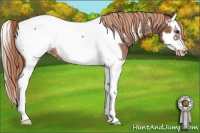 Horse Color:Red Roan Splash Frame Appaloosa 