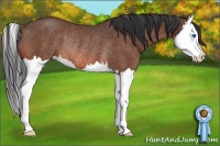 Horse Color:Bay Roan Splash Rabicano 