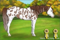 Horse Color:Red Roan Splash Near Leopard 
