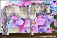 Horse Color:Plaid  White Spotted Silver Bay Onyx 