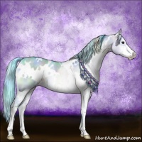 Horse Color:Nacre Watercolor White Spotted Brown Dun Sabino