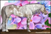 Horse Color:White Spotted Liver Red Dun Ice 