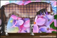 Horse Color:Plaid Bay Onyx Sabino