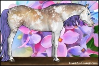 Horse Color:Painted Bay Onyx Sabino Splash Brindle