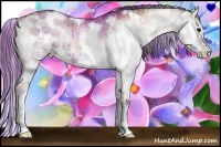 Horse Color:Painted Grullo Pearl Onyx Sabino
