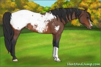 Horse Color:Bay Roan Near Fewspot 