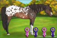 Horse Color:Brown Roan Splash Near Leopard 