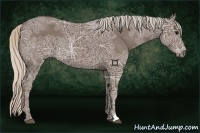 Horse Color:Silver Black Ice 