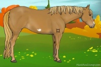 Horse Color:Chestnut Frame