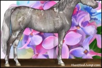 Horse Color:White Spotted Chocolate Silver Grullo Chinchilla