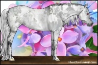 Horse Color:White Spotted Silver Brown Chinchilla Ice Dun