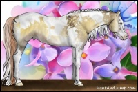Horse Color:Chocolate Palomino Onyx Sabino Splash Tobiano 