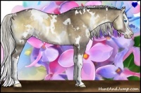 Horse Color:White Spotted Chocolate Palomino Onyx Splash Rabicano