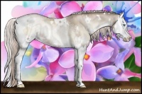 Horse Color:White Spotted Chocolate Palomino Ice Pearl Onyx Sabino Splash