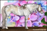 Horse Color:White Spotted Chocolate Palomino Ice Onyx Rabicano