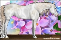Horse Color:White Spotted Liver Red Dun Pearl Sabino Splash Rabicano