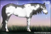 Horse Color:Smoky Blue Roan Sabino Frame 