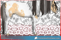 Horse Color:White Spotted Buckskin Tobiano 