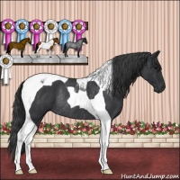 Horse Color:Blue Roan Tobiano Rabicano 