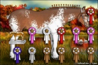 Horse Color:White Spotted Silver Brown