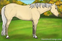 Horse Color:Silver Buckskin Dun 