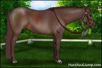 Horse Color:Chocolate Brown 