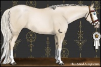 Horse Color:Palomino Pearl Sabino Splash