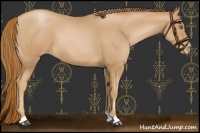 Horse Color:Chestnut Pearl
