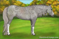 Horse Color:Silver Black Ice 