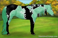 Horse Color:Watercolor Black Ice Tobiano 