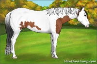 Horse Color:Brown Splash Tobiano Blanket 