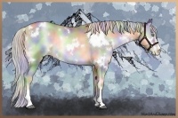 Horse Color:Nacre White Spotted Chocolate Palomino Pearl Onyx Sabino Rabicano