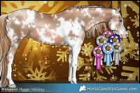 Horse Color:White Spotted Liver Chestnut Pearl Sabino 