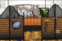 Horse Color:White Spotted Silver Smoky Grullo Varnish 