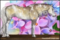 Horse Color:White Spotted Chocolate Silver Smoky Blue Onyx Chinchilla 