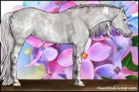 Horse Color:White Spotted Chocolate Silver Grullo Chinchilla Ice