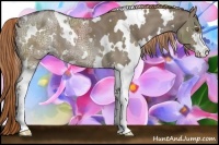 Horse Color:White Spotted Liver Red Dun Ice Sabino 