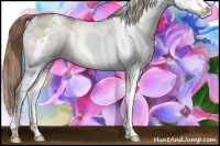 Horse Color:White Spotted Liver Red Dun Pearl Splash Rabicano