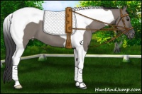 Horse Color:Grullo Tobiano Appaloosa