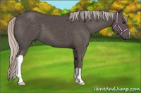 Horse Color:Silver Black 