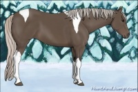 Horse Color:Silver Black Tobiano