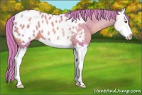 Horse Color:Watercolor Brown Pearl Splash Appaloosa 