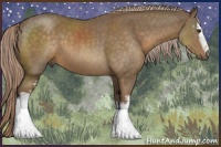 Horse Color:White Spotted Chocolate Palomino