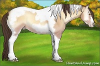 Horse Color:Amber Cream Champagne Onyx Tobiano Frame 